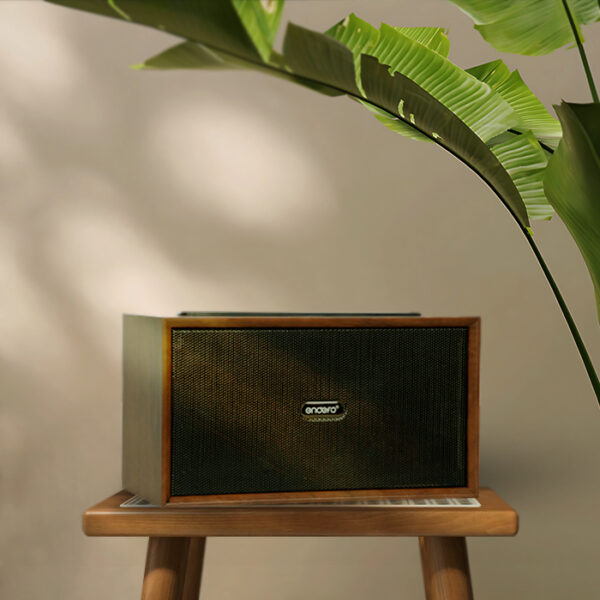 Entun'z Glam True Wooden Speaker