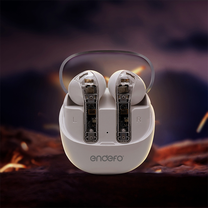 Enbuds 20 Quad Mic ENC