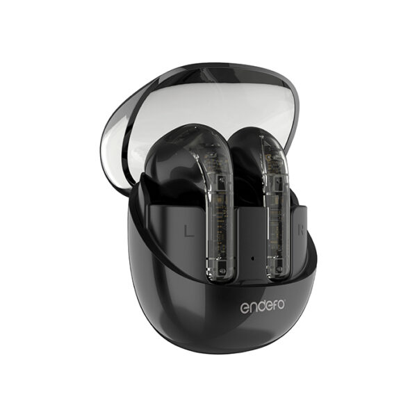 Enbuds 20 Quad Mic ENC