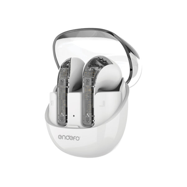 Enbuds 20 Quad Mic ENC